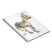 Carnet Agitez (Côté Droit)