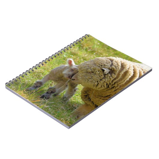 Carnet Agneau Bébé (Côté gauche)