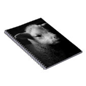 Carnet Agneau nouveau-né (Côté Droit)