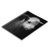 Carnet Agneau nouveau-né (Côté gauche)