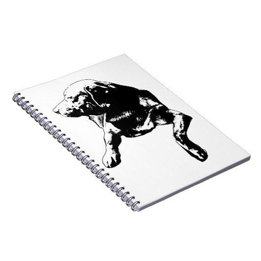 Carnet Aide sur le bureau, notes de laboratoire (Côté Droit)