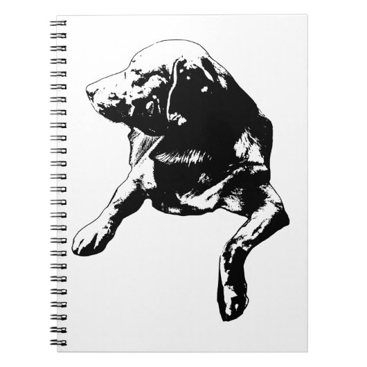 Carnet Aide sur le bureau, notes de laboratoire (Devant)