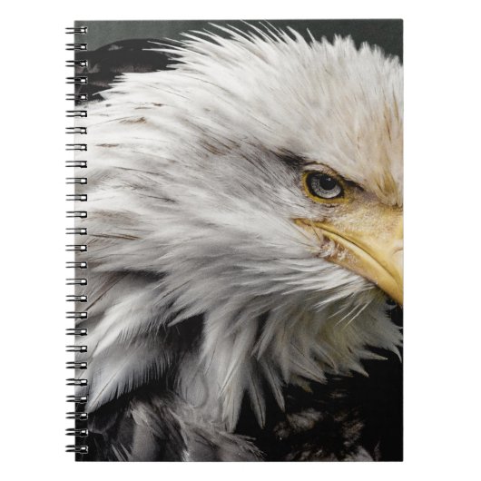 CARNET AIGLE (Devant)