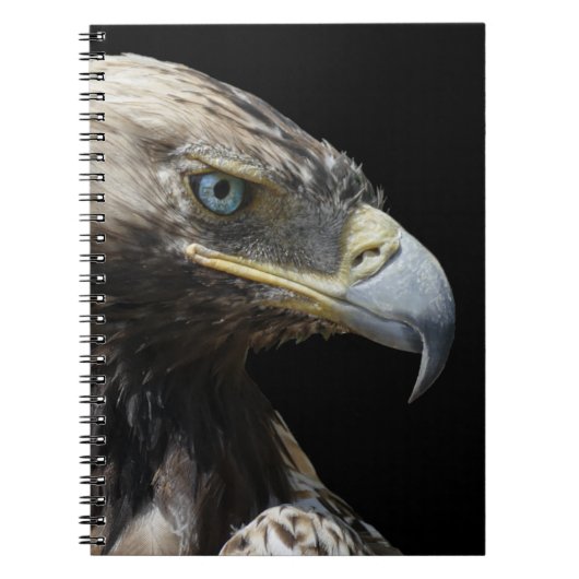Carnet Aigle (Devant)
