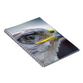 Carnet Aigle (Côté Droit)