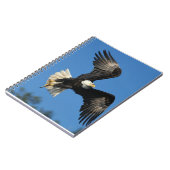 Carnet Aigle (Côté gauche)
