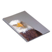 Carnet Aigle (Côté Droit)