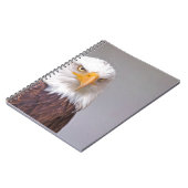 Carnet Aigle (Côté gauche)