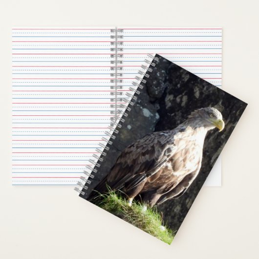 Carnet Aigle à queue blanche rocher côtier faune (À l'intérieur)