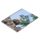 Carnet Aigle à tête blanche sur une branche d'arbre (Côté gauche)