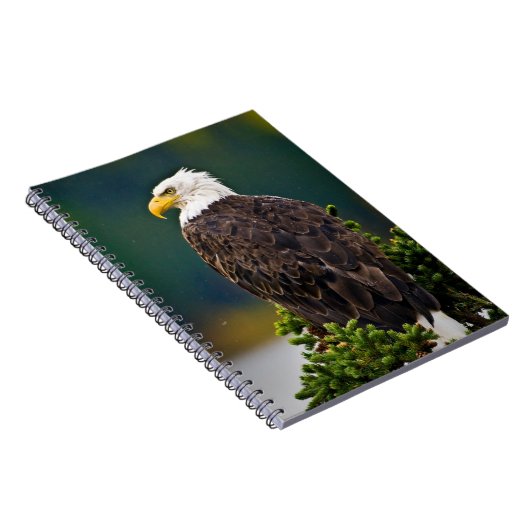 Carnet Aigle américain perché (Côté Droit)