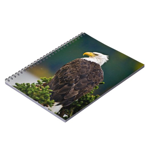 Carnet Aigle américain perché (Côté gauche)