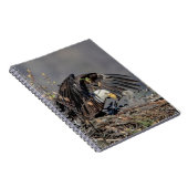 Carnet Aigle avec son bébé (Côté Droit)