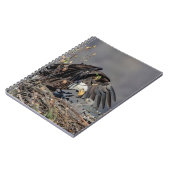 Carnet Aigle avec son bébé (Côté gauche)