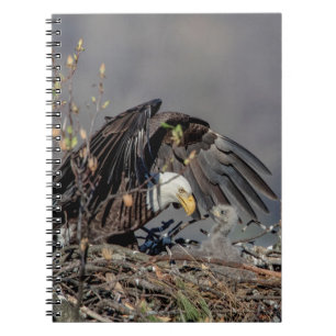 Carnet Aigle avec son bébé
