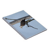 Carnet Aigle Bald avec un poisson (Côté Droit)