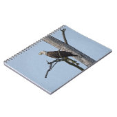 Carnet Aigle Bald avec un poisson (Côté gauche)
