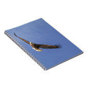 Carnet Aigle chauve (Côté Droit)
