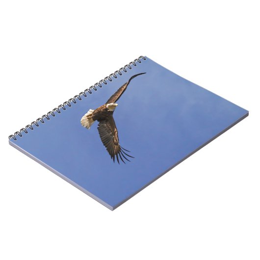 Carnet Aigle chauve (Côté gauche)
