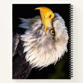 Carnet Aigle de Bald (Dos)