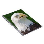 Carnet Aigle de Bald (Côté Droit)