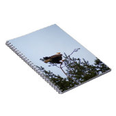 Carnet Aigle de Bald (Côté Droit)