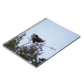 Carnet Aigle de Bald (Côté gauche)