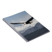 Carnet Aigle de tête en vol, Haliaeetus leucocephalus, (Côté Droit)