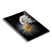 Carnet Aigle et feux d'artifice (Côté Droit)