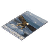 Carnet Aigle, Haliaeetus leucocephalus, Homer, 3 (Côté gauche)