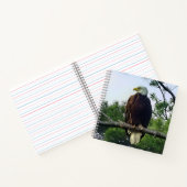 Carnet Aigle mûre majestueux perché dans l'arbre (Intérieur)