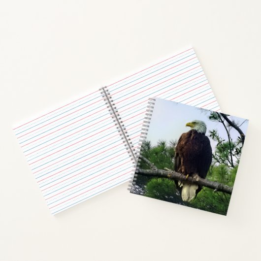 Carnet Aigle mûre majestueux perché dans l'arbre (Intérieur)