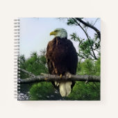 Carnet Aigle mûre majestueux perché dans l'arbre (Devant)