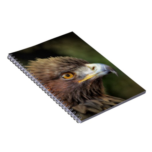 Carnet aigle royal (Côté Droit)
