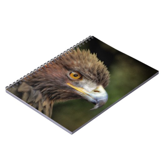 Carnet aigle royal (Côté gauche)