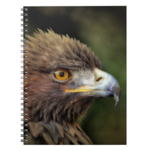Carnet aigle royal