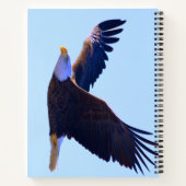 Carnet Aigle volant (Dos)