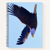 Carnet Aigle volant (Devant)