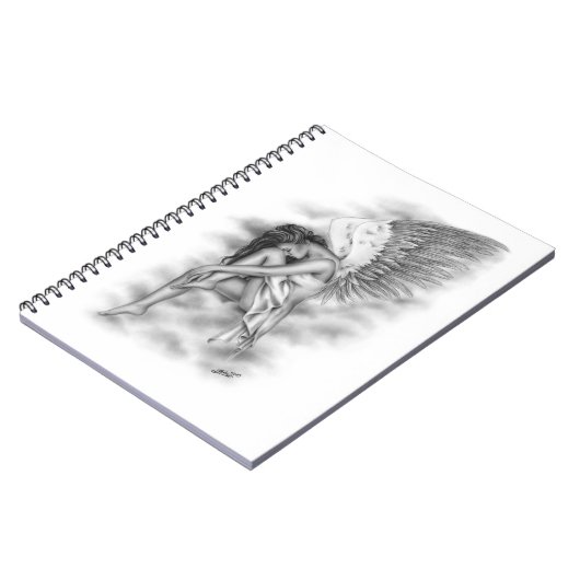 Carnet aigre-doux d'ange (Côté gauche)