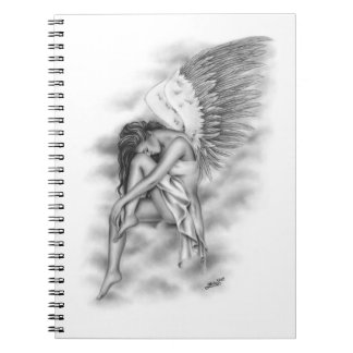 Carnet aigre-doux d'ange