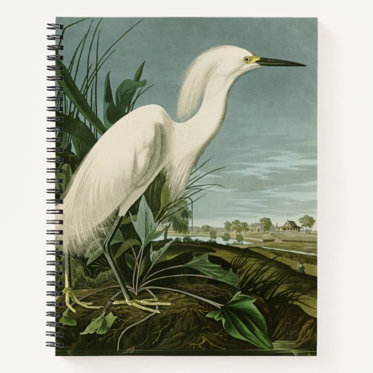Carnet Aigrette neigeuse d'Audubon oiseau de rivage (Devant)