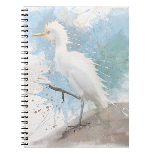 Carnet Aiguille (Devant)