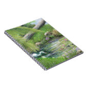 Carnet Aiguille sur l'étang (Côté Droit)