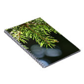 Carnet Aiguilles de pin à bokeh (Côté Droit)