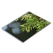 Carnet Aiguilles de pin à bokeh (Côté gauche)