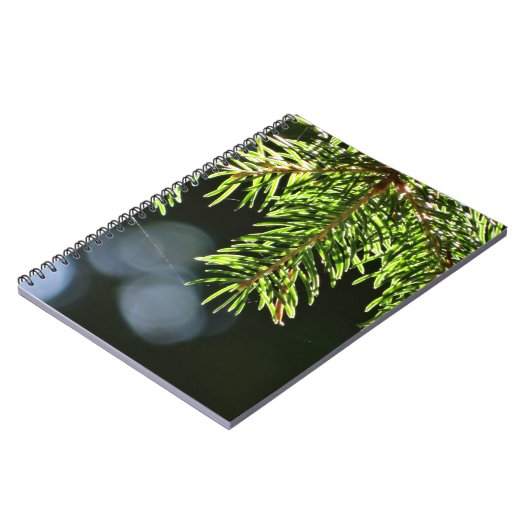 Carnet Aiguilles de pin à bokeh (Côté gauche)