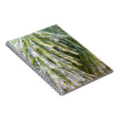 Carnet Aiguilles de pin recouvert de glace Botanique hive (Côté Droit)