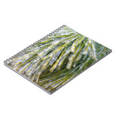 Carnet Aiguilles de pin recouvert de glace Botanique hive (Côté gauche)