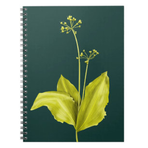 Carnet Ail des ours Plante verte Amateur de la nature Bot