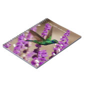 Carnet Ailes de colibri de Violet-oreilles de (Côté gauche)